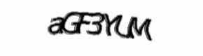 Security check image, please type the characters shown